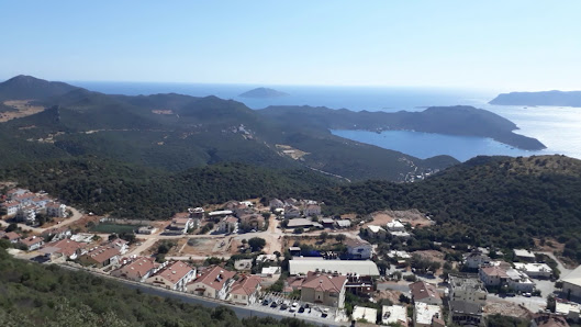 Imagen de la galería