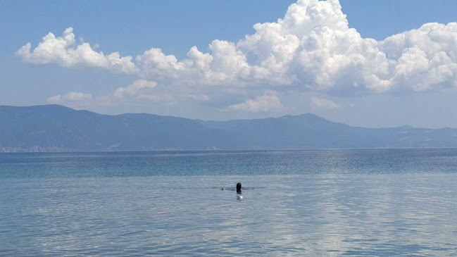 Bunga beach bar - Μπαρ