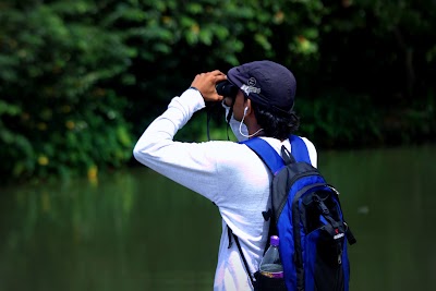 Photos of Bellanwila - Attidiya marshes