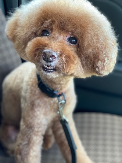 トリミングルームサニーガーデン