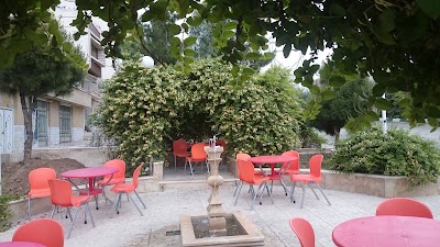 Photos of فست فود برگرخونه