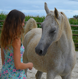 Photo n°6 de EQUIFÉERIE à Corps-Nuds (Coach particulier)
