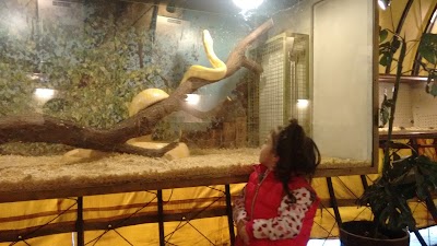 Photos of Serpentario - Centro Anaconda