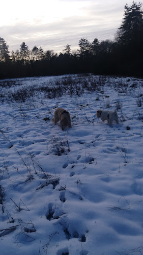 Comentarii opinii despre Parent Olivier