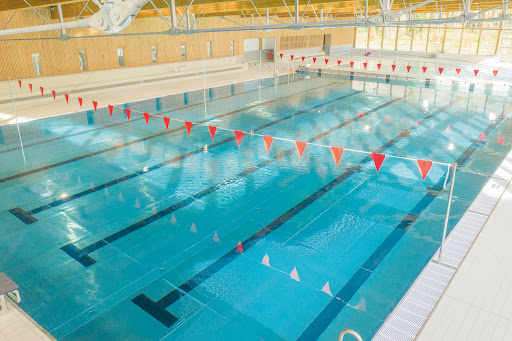 Photo de Couleur Piscine - Saint-Egrève à Romagnieu (38480)