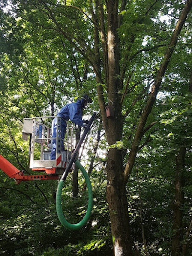 Benk Baum und Boden photo