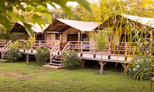 Photo n°1 de Gite de groupe - Les Lodges de la Chênaie à Talasani (Terrain de camping)