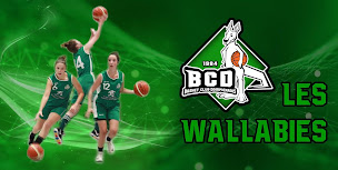 Photo n°1 de BCD - Basket Club Dompierrois à Dompierre-sur-Yon (Club de basket-ball)