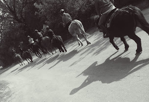 Photo n°23 de Erimûr'Anes à Mûrs-Erigné (Centre équestre)