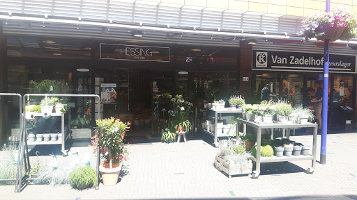 Hessing Flowers&More