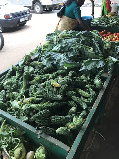 Photos of S. M. K. Vegetable Shop (Shalitha Enterprises)