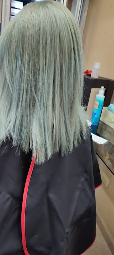 Estética Francis-Hair Stylist