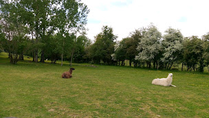 Photo n°19 de cavenac lodge à Castelnau-sur-Gupie (Massothérapeute)