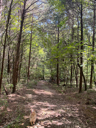 Smith Ridge Campground - Thumbnail