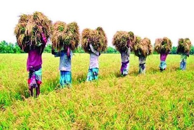 Photos of Bangladesh Hat