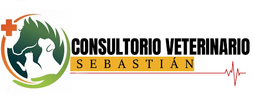 consultorio veterinario sebastian