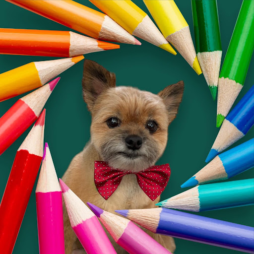 Barks -n- Meows Pet Grooming Spa and Gift Shop - Thumbnail