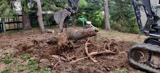 Photo de Besset Aménagement Création à Coubon (43700)