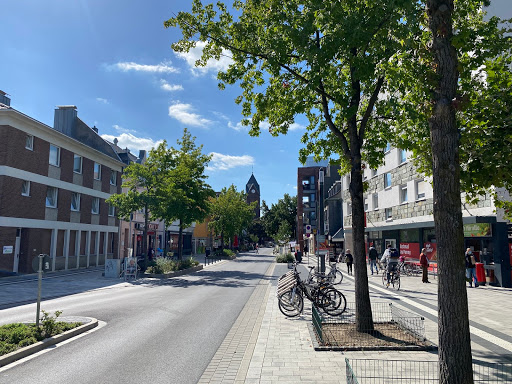 Dr. OEBELS + partner Immobilienmakler Langenfeld