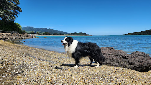 Raglan Harbour Cruises - Thumbnail