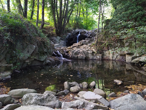 Torrente Ciuffenna - Thumbnail
