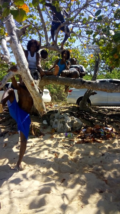 Photos of Bull's Bay Beach