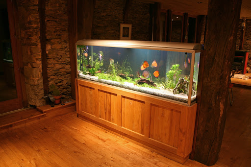 Bill Goody Aquarium Service - Thumbnail