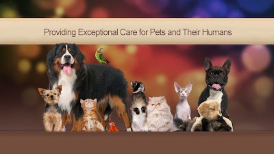 veterinary-care