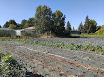 Ferme de Larrue à Chevru