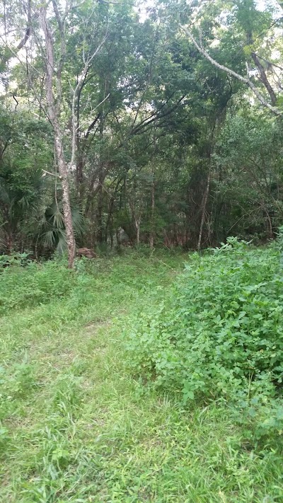 Photos of Raiford Wildlife Management Area