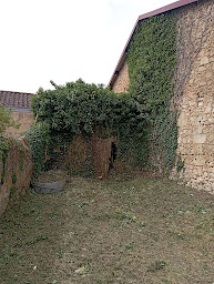 Photo n°15 de NL - Espace Vert à Saint-Cyprien (Service d'élagage)