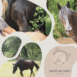 Photo n°5 de Equi'Evasion à La Celle (Thérapeute Reiki)