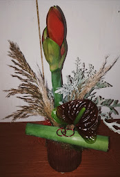 Photo n°71 de Bulle de Fleurs à Dierre (Fleuriste)