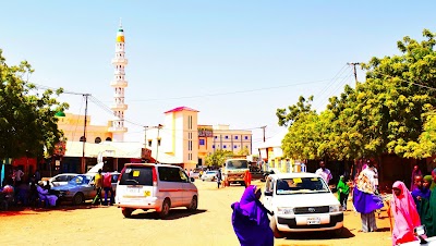 Photos of Abdulahi abdikariin Takar Studio
