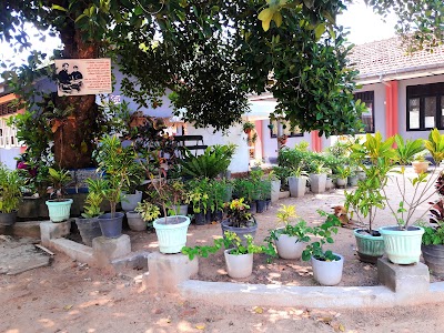 Photos of Katana Vidyaloka Maha Vidyalaya