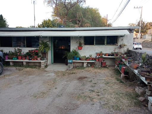 site_photo2