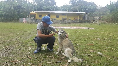 Photos of Balneario La Piramide