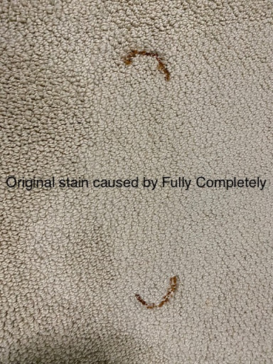 Fully Completely Inc Cleaning & Restoration - Thumbnail