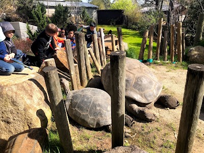 Tortoise Park