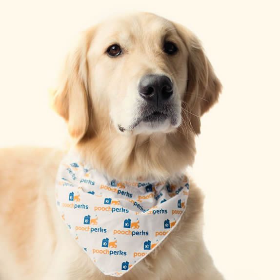 Pooch Perks