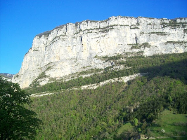 restaurant "la terrasse du grand frêne"