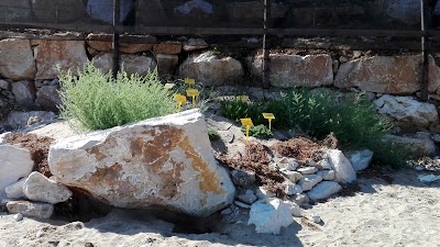 Photos of Villa Minieri Resort & Events