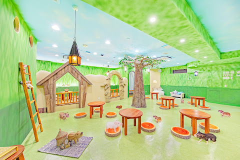 mipig cafe Harajuku by null