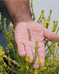 Photo n°10 de Diane Petit - Gestion des Réseaux Sociaux à Saint-Pierre-d'Oléron (Agence de publicité)