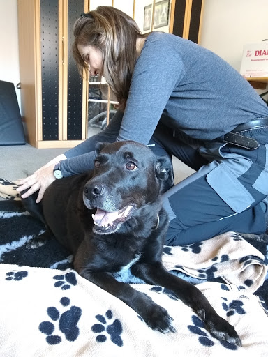 Barnaby's Home - Hunde-Physiotherapie in Wehrheim - Thumbnail