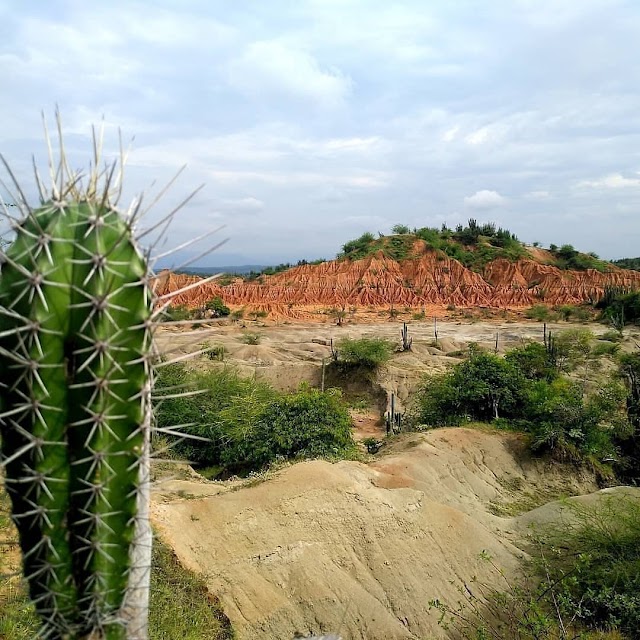 Place around image