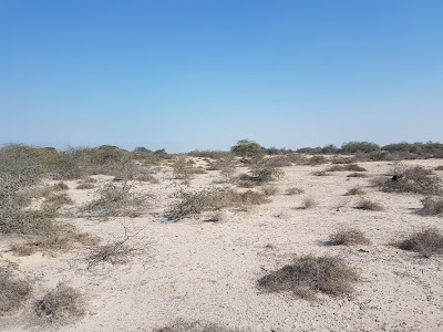 Photos of Copart - Bahrain