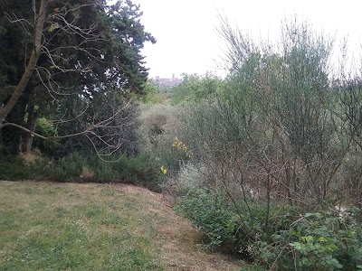Photos of Hotel Il Melograno