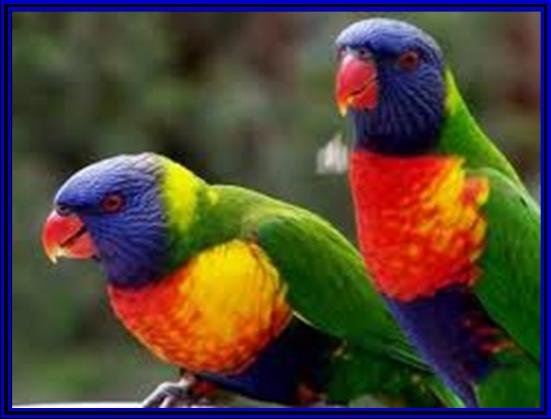 Comentarii opinii despre Dr Catherine Grossetete