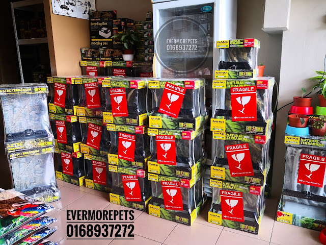 Evermore Pets by null